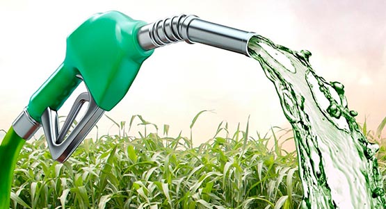 Biofuels